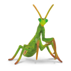 CollectA 88351 Praying Mantis