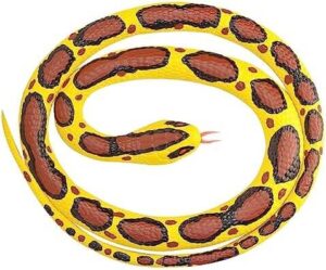 Rubber Snake Burmese Python