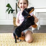 M&D Plush Dachshund