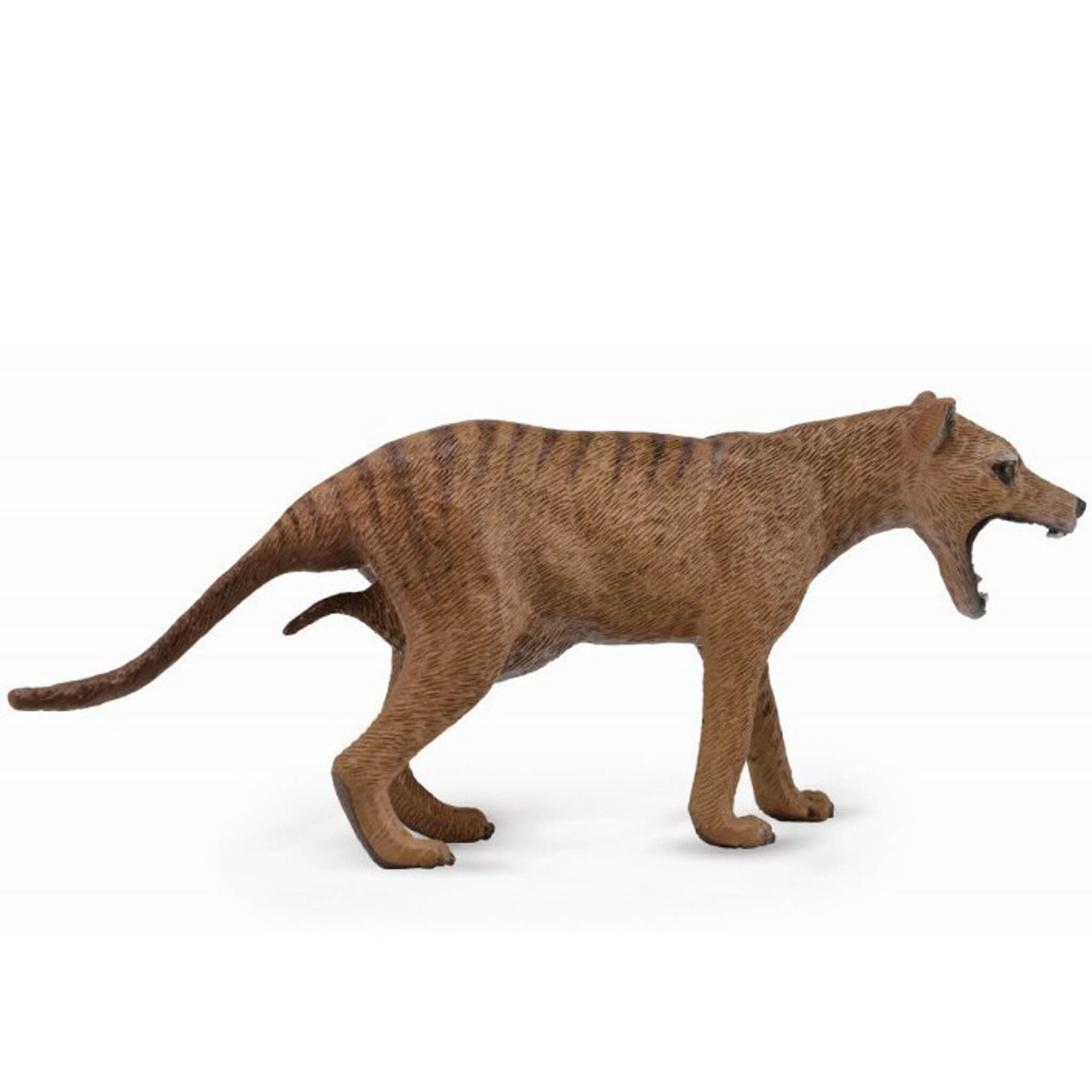 CollectA 88767 Thylacine Tasmanian Tiger