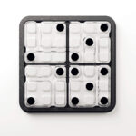 Smart Games Dice Deduction