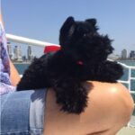 Haggis Scottish Terrier Plush 28cm