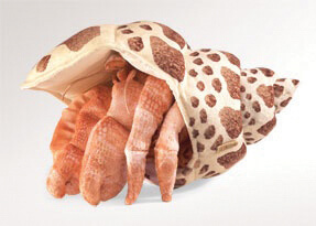 Folkmanis Sea Hermit Crab Puppet