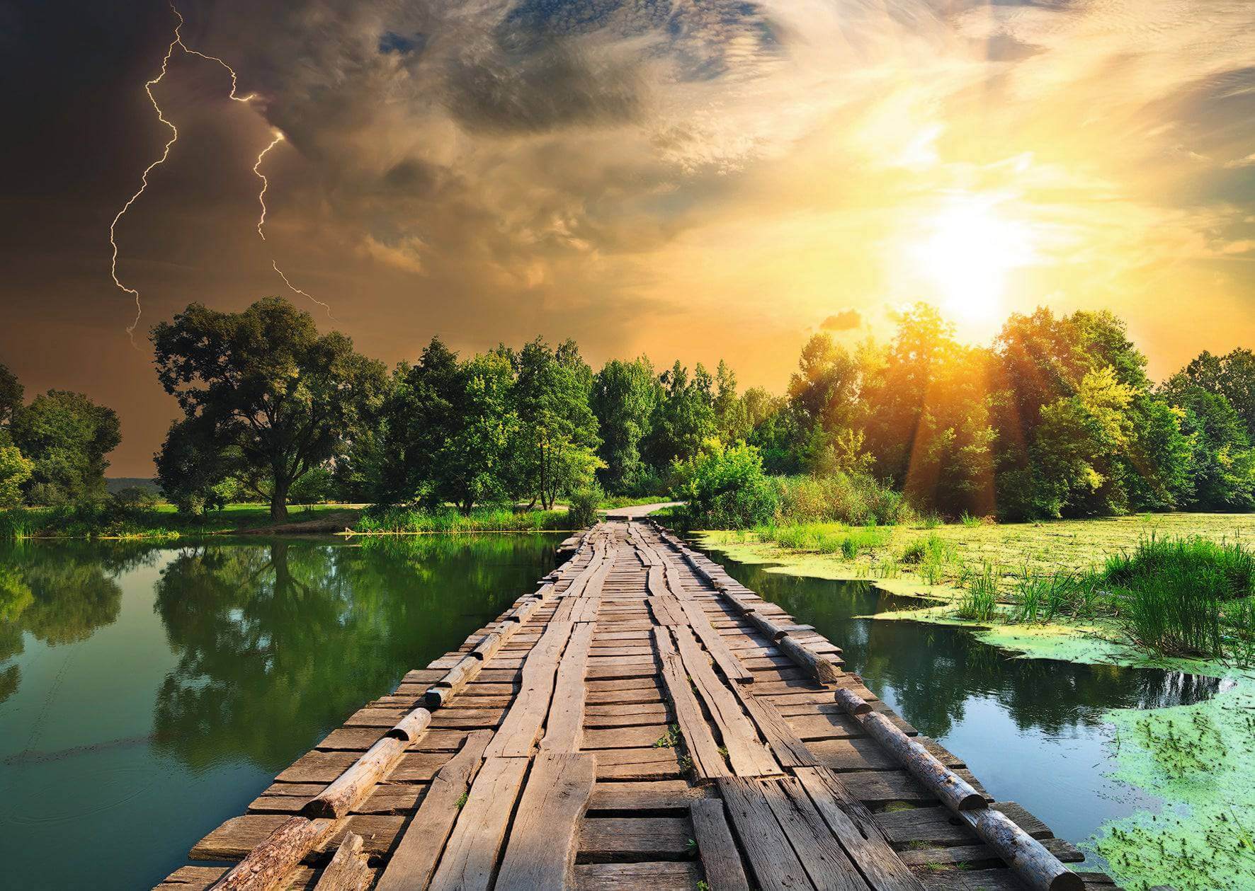 Ravensburger Mystic Skies Nature Puzzle 1000pc