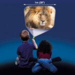 Brainstorm - Animal Torch & Projector