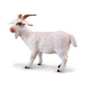 CollectA 88212 Billy Goat (M)