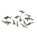 Zip Tube - Eco Sharks