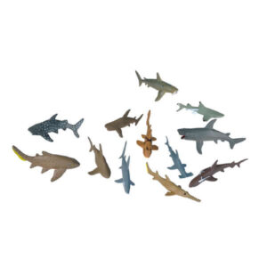 Zip Tube - Eco Sharks