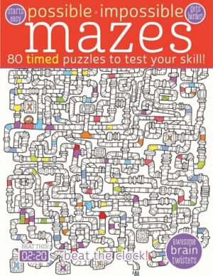 Possible Impossible Mazes Book