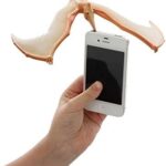 The Amazing Balancing Pterodon