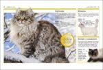 Pocket EyewItness Cats