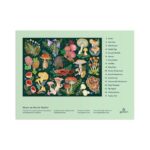 World of Mushrooms Puzzle 1000pc
