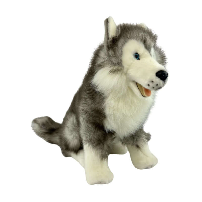 Brock Husky 35cm Bocchetta Plush