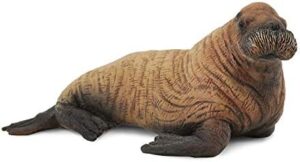 Collecta – Figure Baby Walrus (88570)