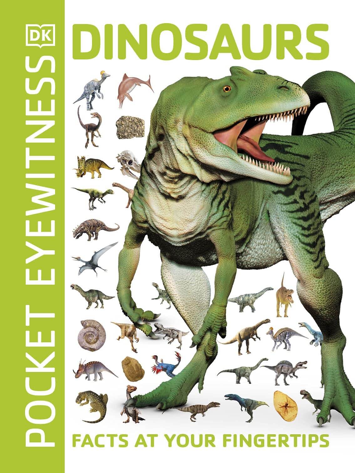 Pocket Eyewitness DK Dinosaurs Book