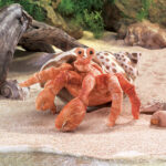 Folkmanis Sea Hermit Crab Puppet