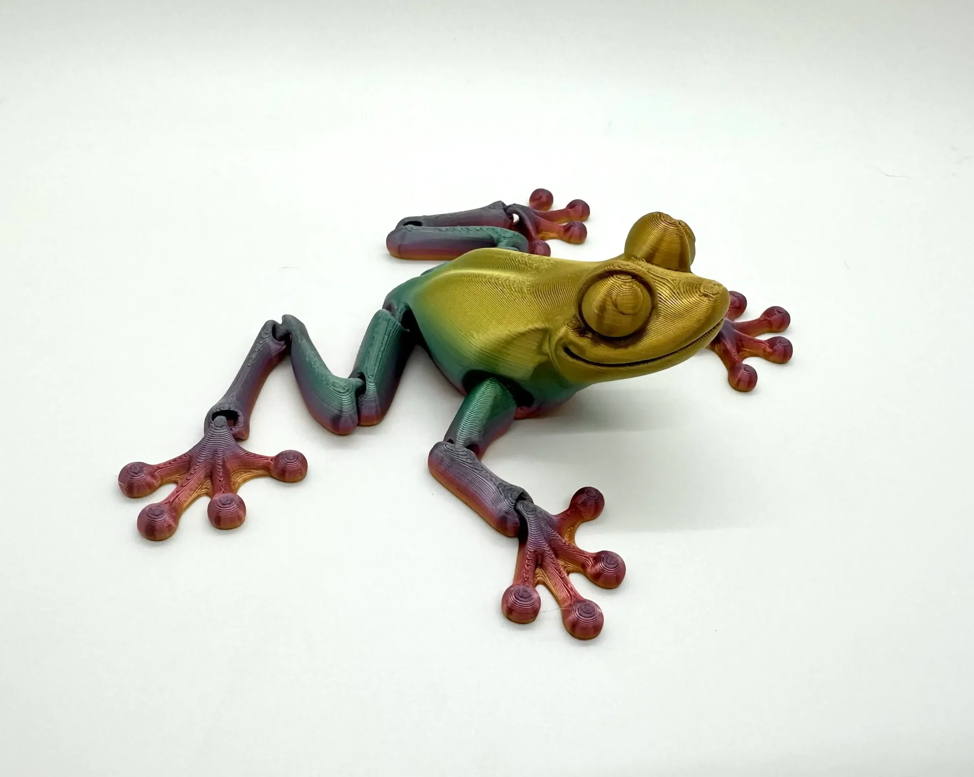 3D Sensory Frog Asst (ea)