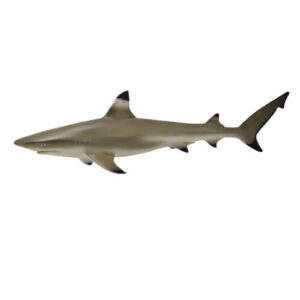 CollectA 88726 Blacktip Reef Shark