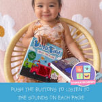 Ditty Bird Touch The Colours Sound Book