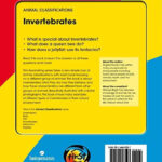 Animal Classifications Invertebrates