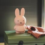 Miffy Money Box 19cm Powder