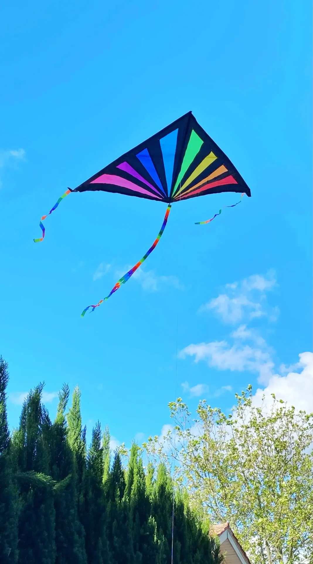 Windspeed Kites Sunrise Delta