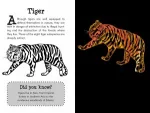 Scratch & Sketch Wild Safari Book