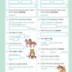 New Wave English Skills Practice B Workbook (Year 2)