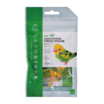 Nanoblock Budgerigar Green Opaline