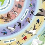 Ridleys Bird Lovers 1000 Piece Jigsaw