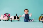 Wheely Bug Pig Small