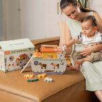 Noah's Ark Shape Sorter