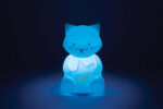Racoon LED Night Light