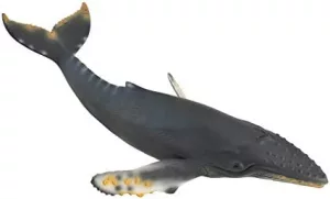 CollectA Humpback Whale