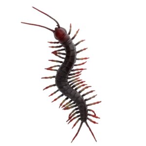 Rex London Realistic Centipede