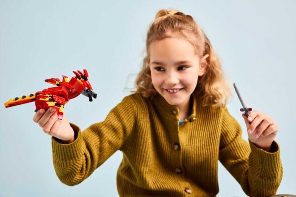 LEGO Harry Potter 76448 Fawkes™: Dumbledores Phoenix