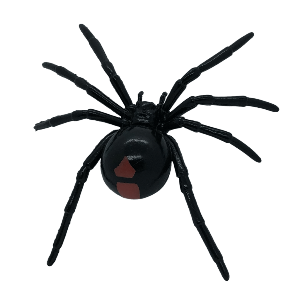 Red Back Spider Figurines Imagine If