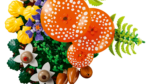 LEGO Botanicals 11505 Woodland Mushrooms