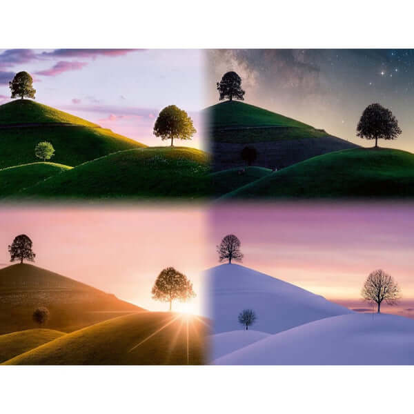 Ravensburger Atmospheric Trees And Mountains Puzzle 2000pc