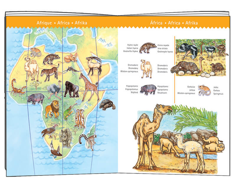 Djeco DJ7420 Observation Puzzle World Animals 100pc