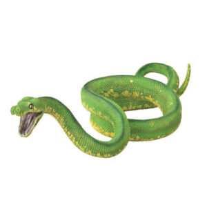 CollectA 88962 Green Tree Python