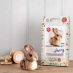 Bunny Hoop Needle Felt Crafty Kit