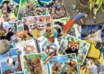 Ravensburger A Traveler’s Animal Journal Puzzle 1000pc