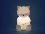Racoon LED Night Light