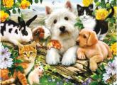 Ravensburger Happy Animal Buddies Puzzle 300 Pc
