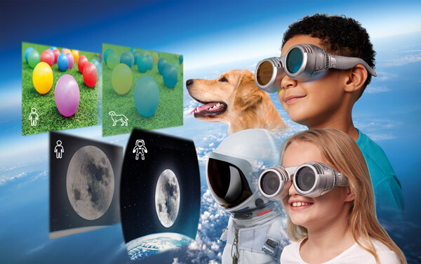 Brainstorm - See The World Through Others Eyes