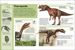 Pocket Eyewitness DK Dinosaurs Book