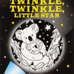 Twinkle Twinkle Little Star Shadow Book