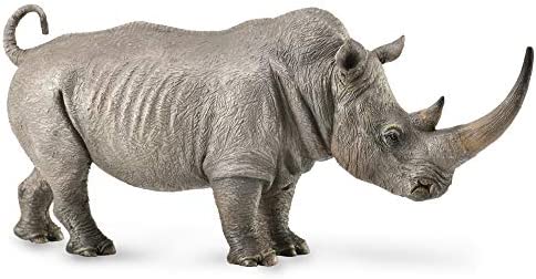 CollectA 88852 White Rhino CollectA 88852 White Rhino