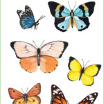 Butterflies Stickers